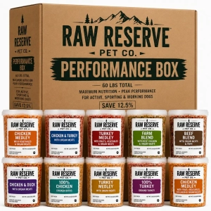 PerformanceBox_20260712_194111_0000