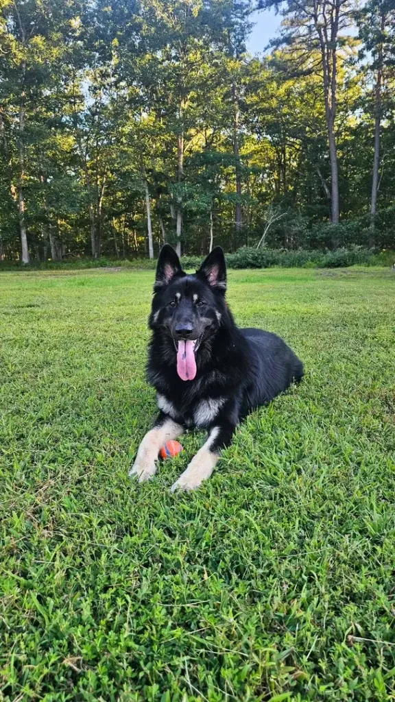 Raw Reserve Inspiration Thor